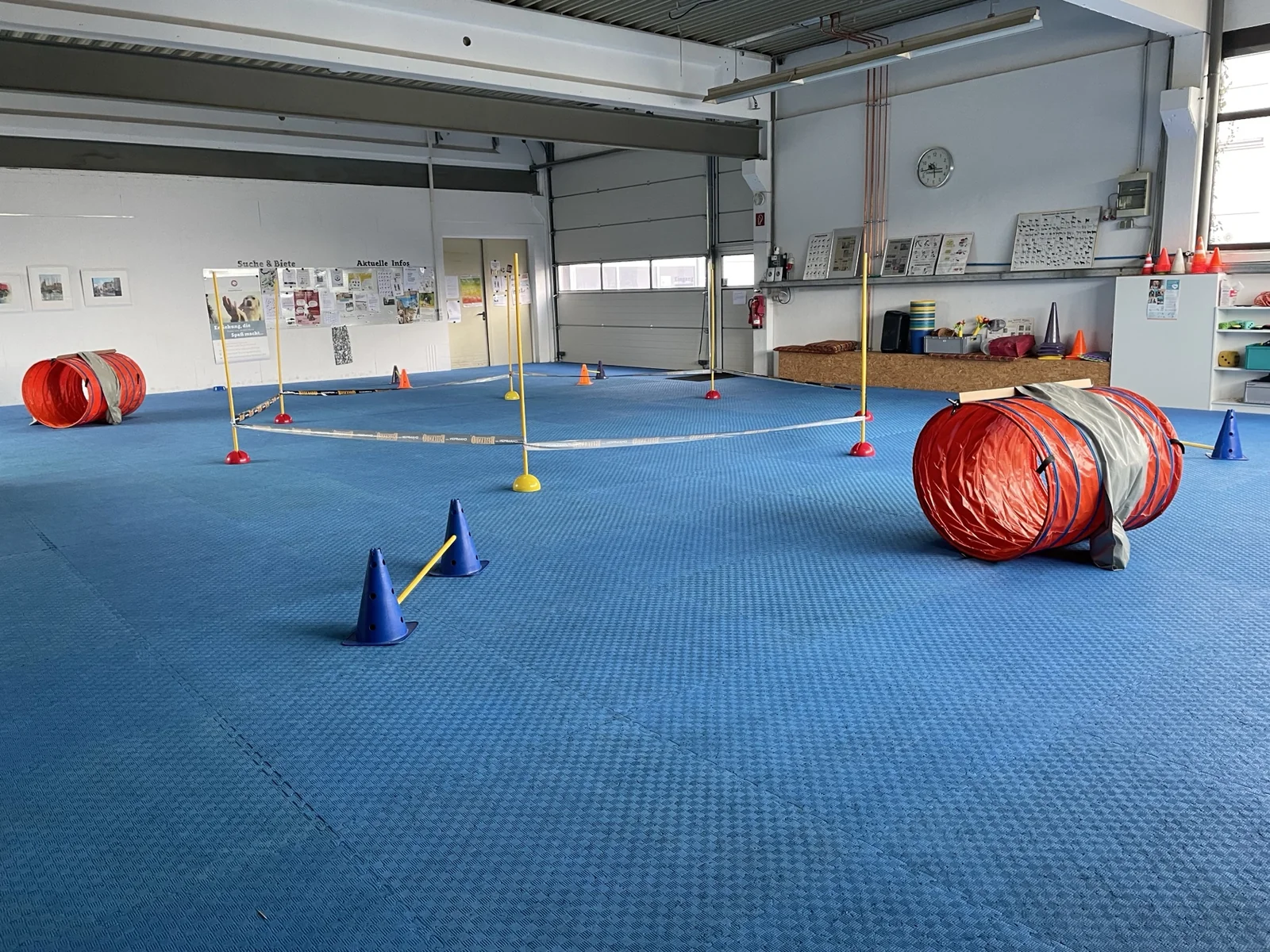 Trainingsraum und Halle der Hundeschule Schnüffelnase in Winnenden