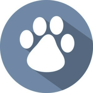 Pfötchen-Taler der Hundeschule Schnüffelnase